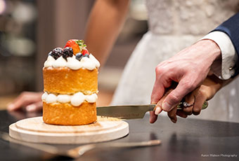 bride and groom hands only cutting mini wedding cake