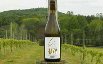 Hazy Mountain bottle of wine in vineyard