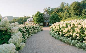 Path to Pippin Hill Winery